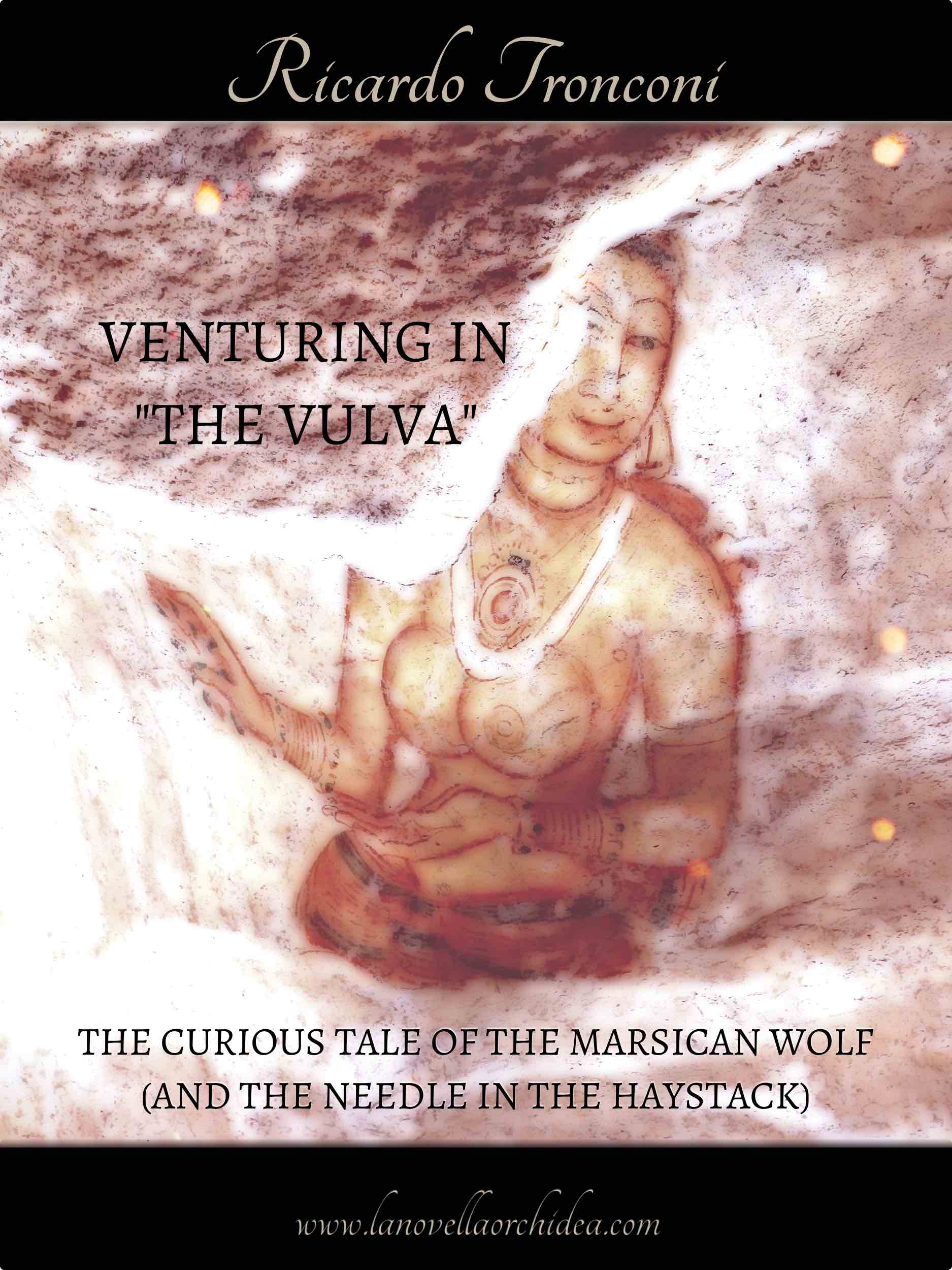 venturing-in-the-vulva